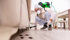 Reliable Rothsville, PA Pest Control Solutions